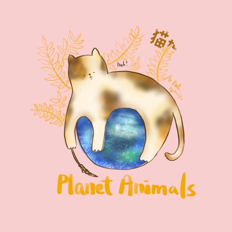 猫九的羊毛毡@抖音