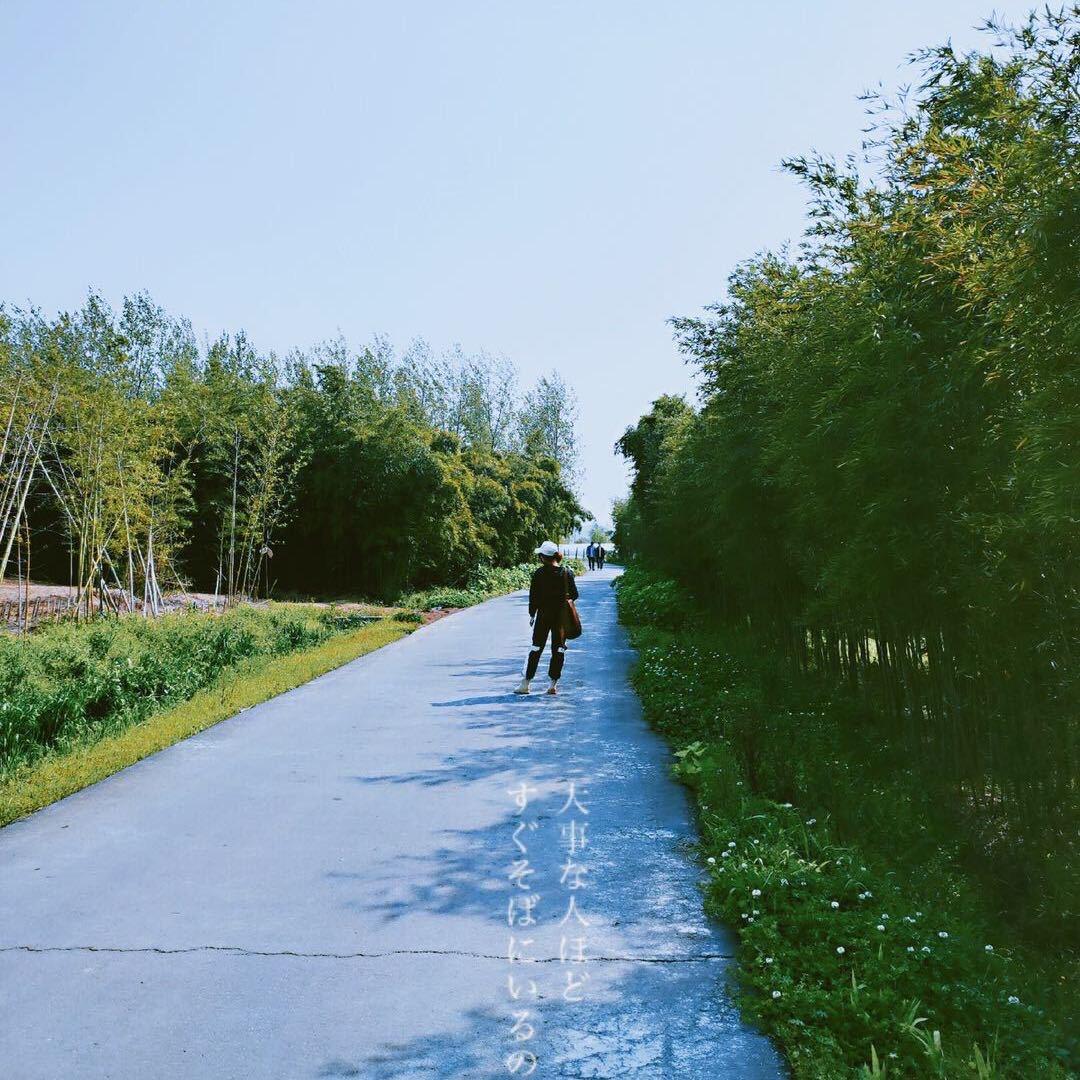 喂哎哎哎哎头像