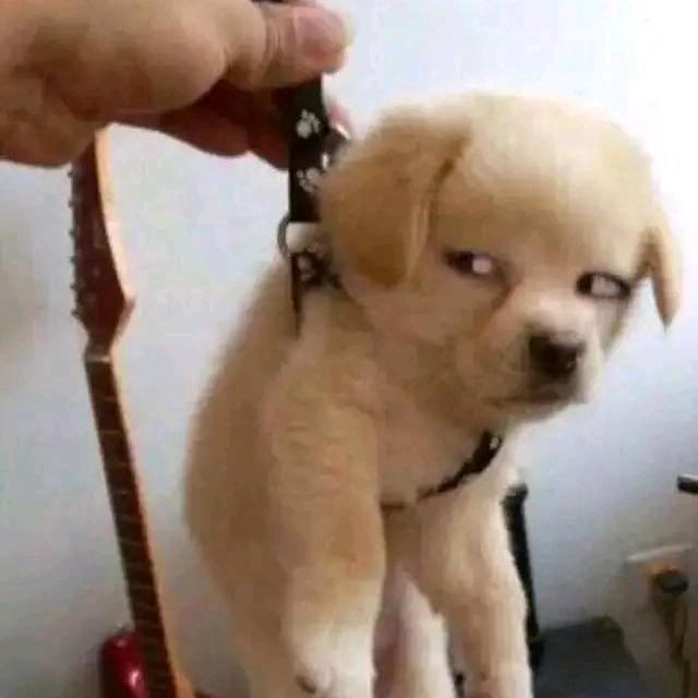 伟大之红头像