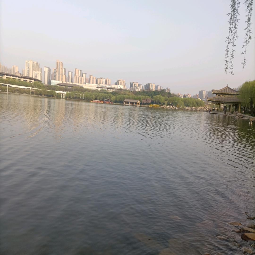 毛毛头像