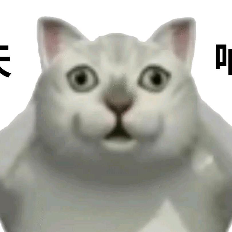 不能把头像