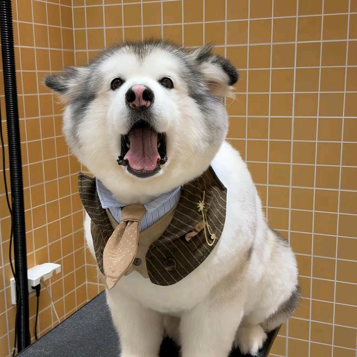 zoeyaya头像
