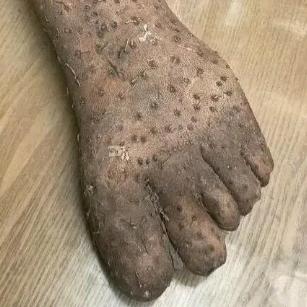 泥散人头像